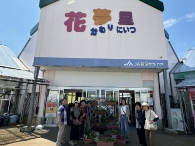 �ꥵ�������Ρָ�����׳��š�����