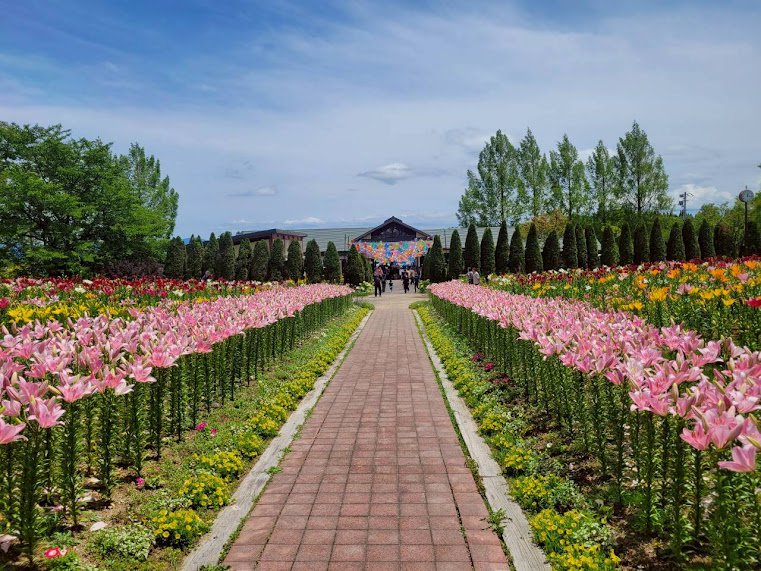 🌸�裴�����������񳫺�🌸�������϶�ޤ��Ť��ꥻ�󥿡��ˡ�����