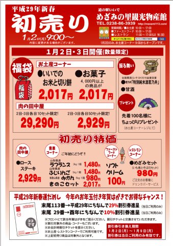 平成29年1月2日9時~:画像