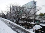 【今シーズン初の雪化粧】：画像