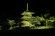 安久津八幡神社三重塔　期間限定ライトアップ：画像