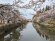 2023年松が岬公園（上杉神社）桜情報4月7日（金）7分〜満開：画像
