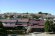 烏帽子山公園の桜情報　　４月２４日：画像