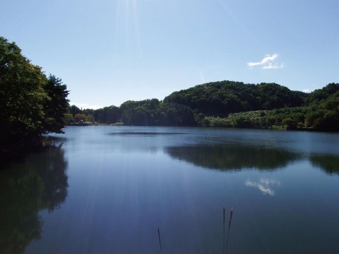 山辺町:Photo1