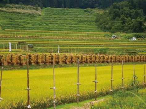 山辺町:Photo2