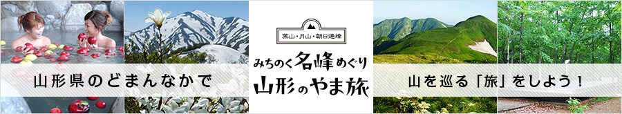 asahi_900_165.jpg