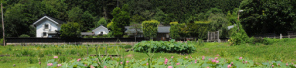 中山イメージ