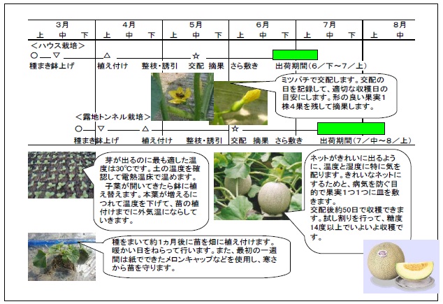 エコエリアやまがた