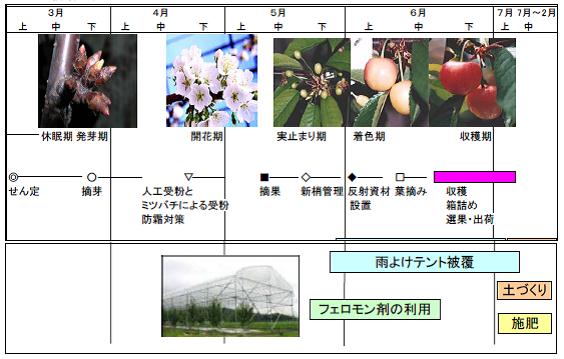 エコエリアやまがた