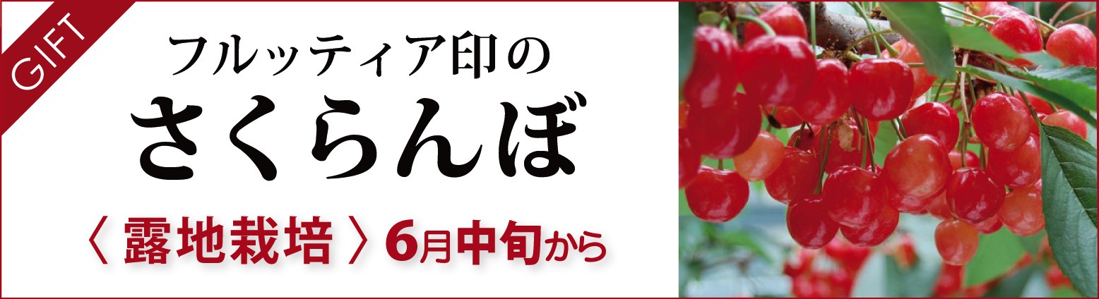 フルッティア印のさくらんぼ|露地栽培