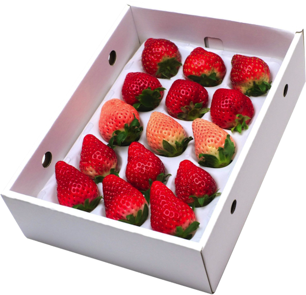 いちご食べ比べbox