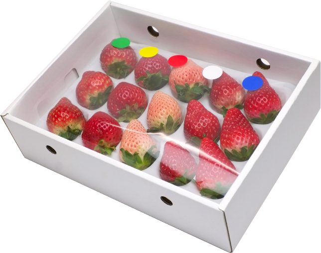いちご食べ比べbox