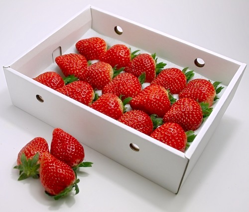 いちご食べ比べbox