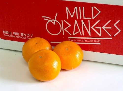 みかん食べ比べbox