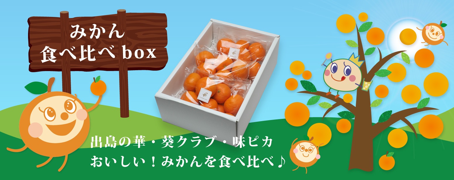 みかん食べ比べbox