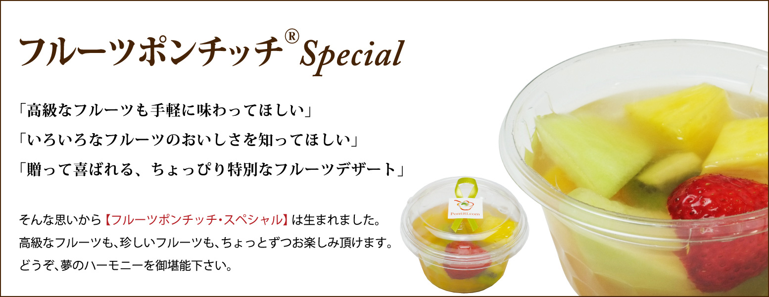 ¥Õ¥ë¡¼¥Ä¥Ý¥ó¥Á¥Ã¥ÁSpecial