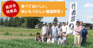 長井市特産品｜食べておいしい、体にもうれしい健康野菜！