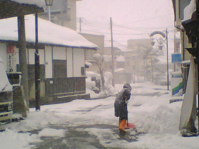 ֤֤ξ