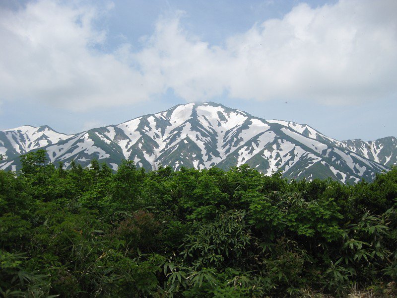 6/24פ֥֥꺸Ǥ