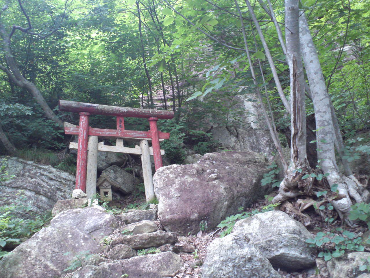 奥の院(本文途上）：画像