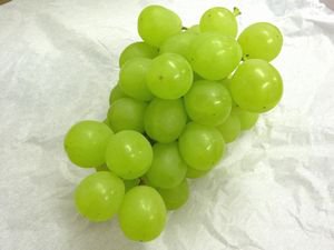 大粒ぶどう販売開始！：画像