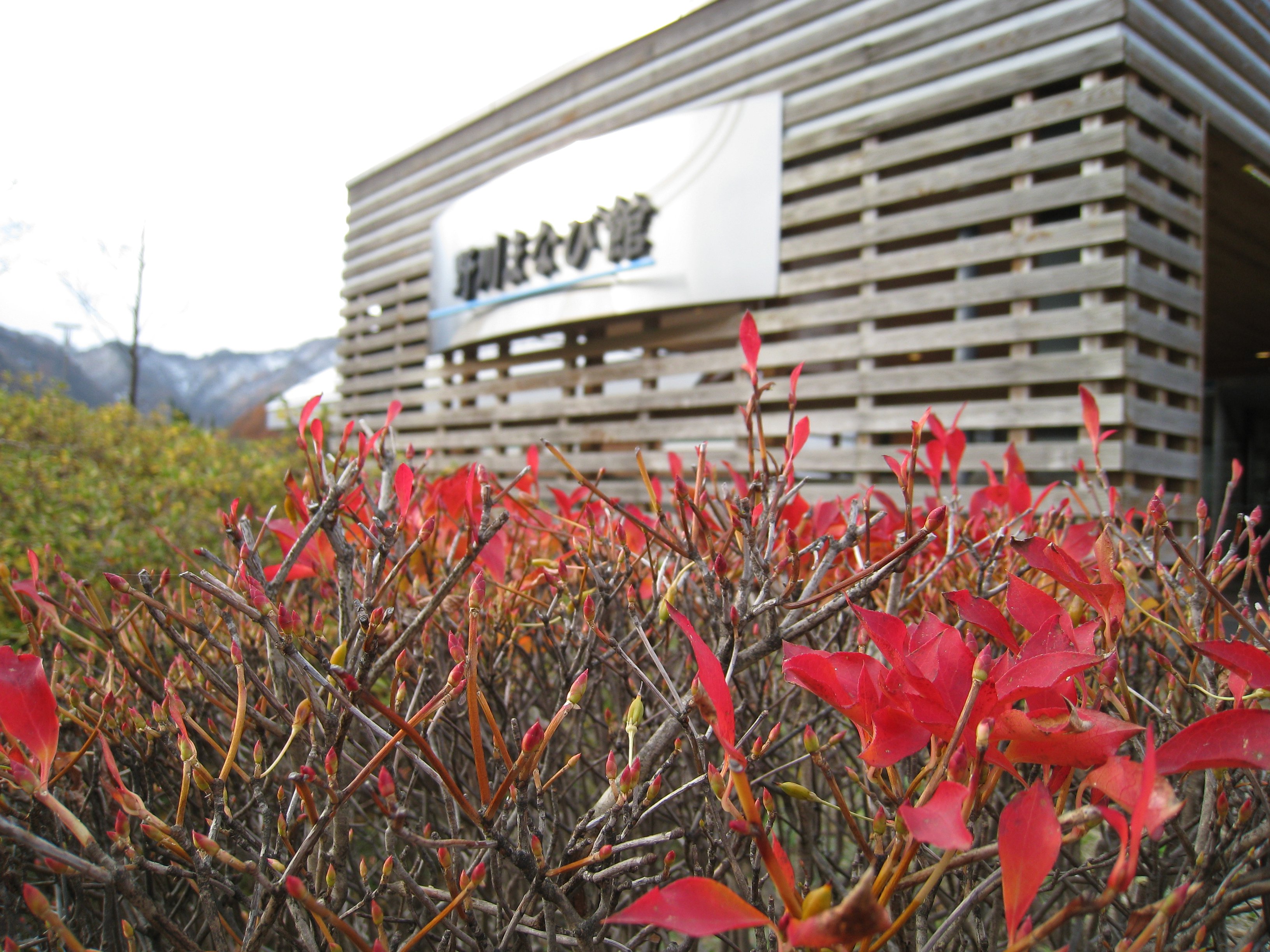 ＠『加藤武雄蔵書』・・・水に関する資料・書籍など【番外遍】　：画像