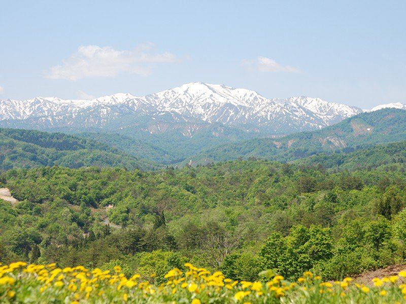 2012 ˭Ϣ