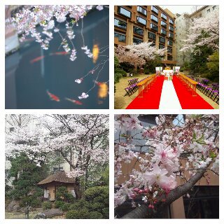 餭ޤ