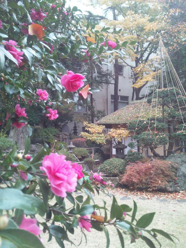 餱