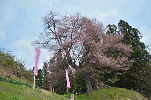 鳫־4/22ˡ