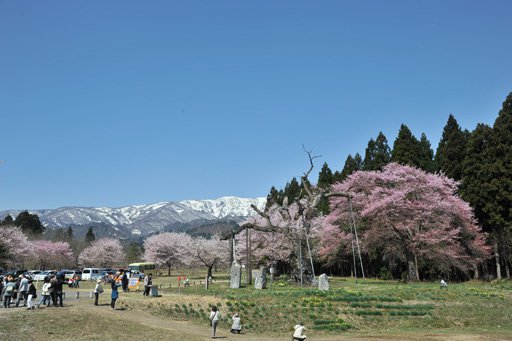 鳫־(4/24)