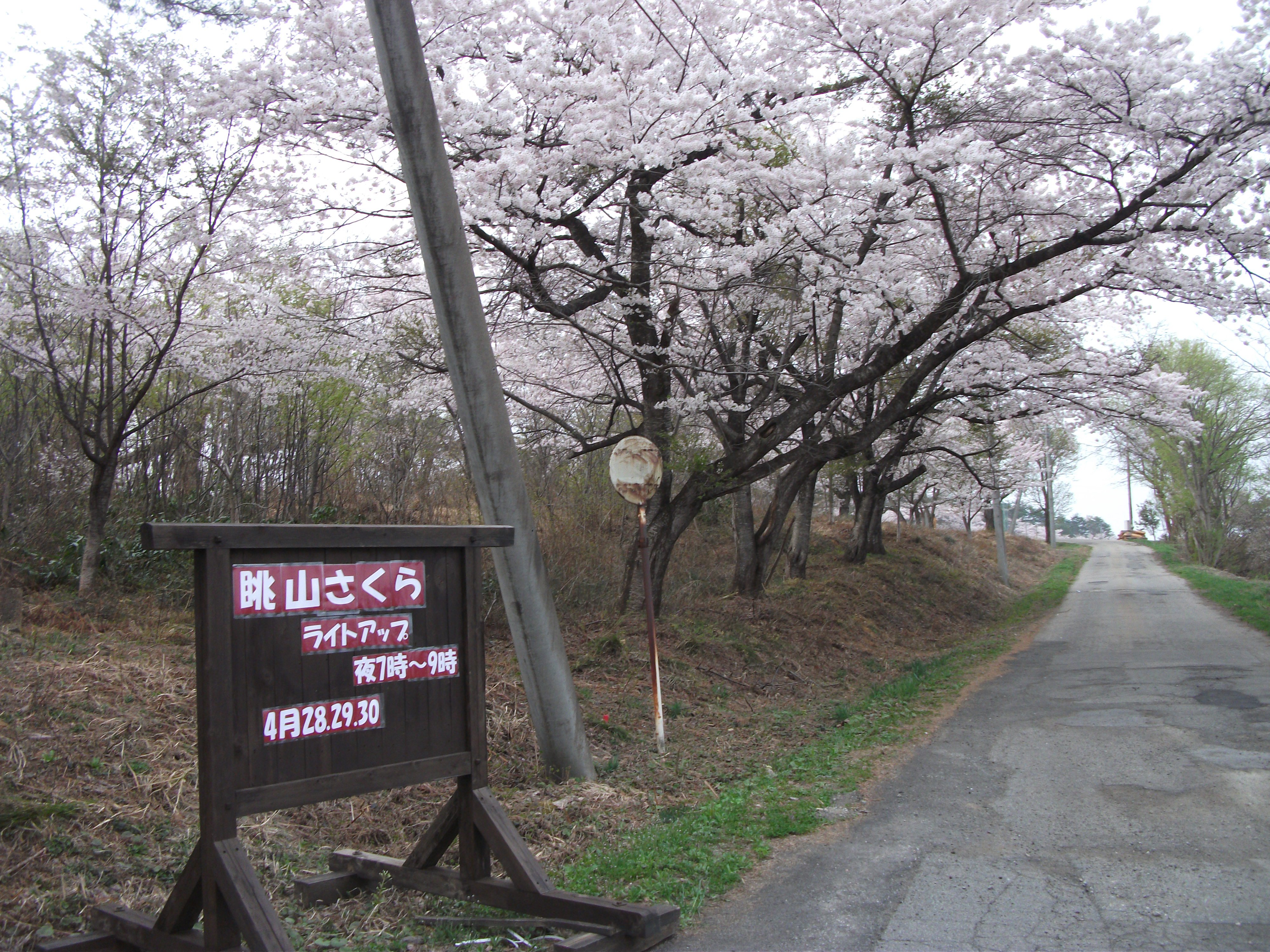 įϭ饤ȥåפƤޤ(428.29.30)