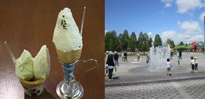 Υ顼ȡȡʮ幭졧