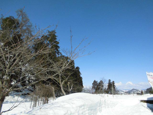 ★。★とても天気がよくて気持ちいいです！！・・・美蔵：画像