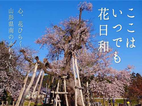�֤�ޤ����ֲ�ϭ2016�����ڡ���ץ����ץ˥󥰥����ˡ������Ť���ޤ�����������
