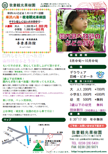 ぶどう狩り　９月上旬～中旬に　アレです。　アレがソレ（笑）：画像