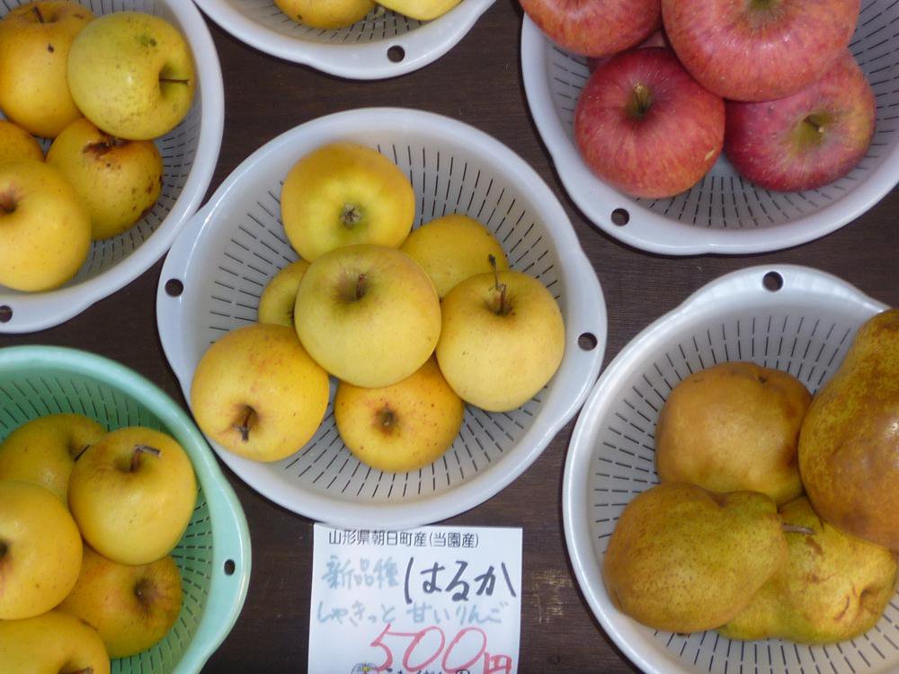 おいしいりんご販売中！：画像