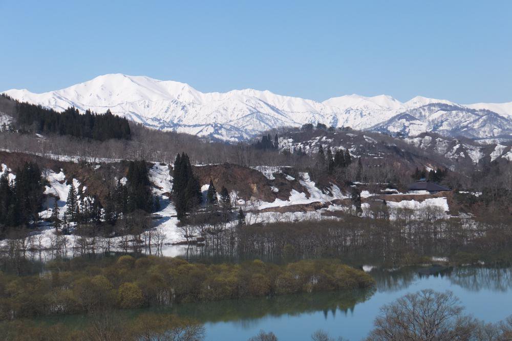 ���率�������쥤��!!������