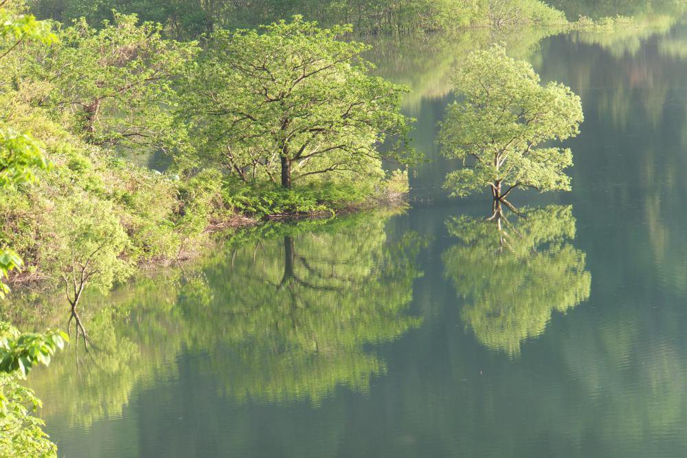 �����ӡ��ޤ�����ޤ��衣������