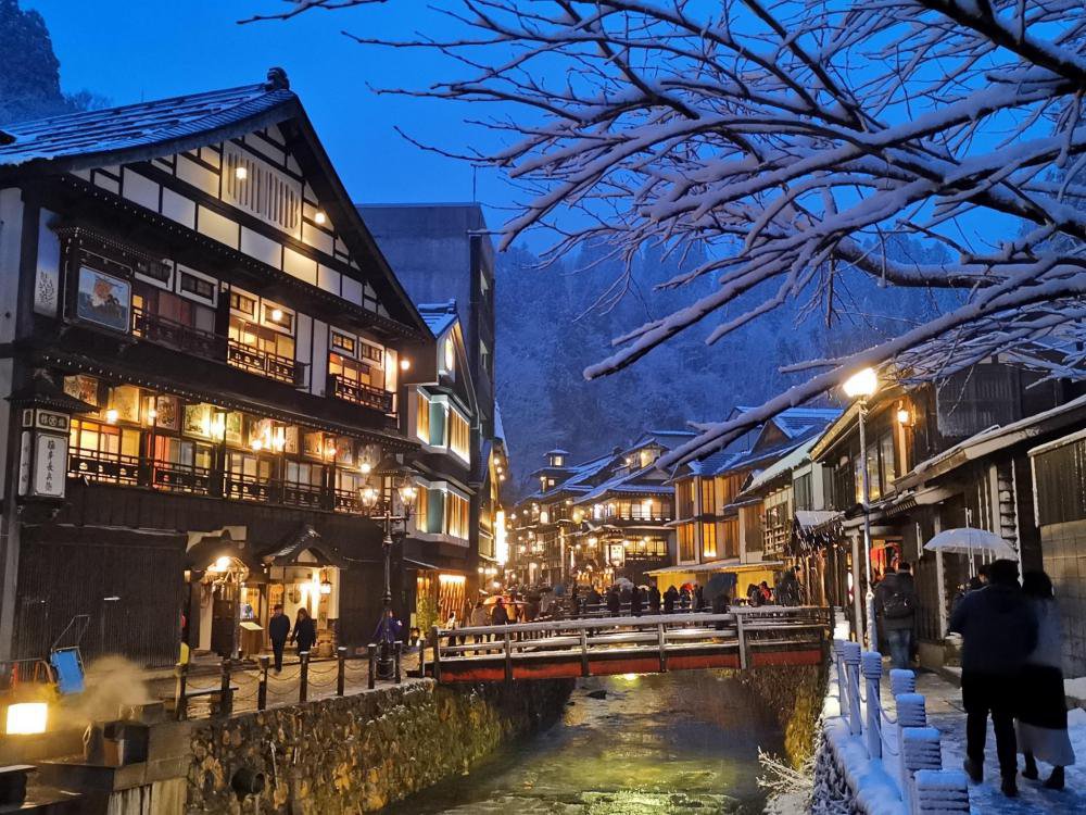 �仳�����Х��ĥ����դ�����ץ�����12/28��1/11����ۡ�����