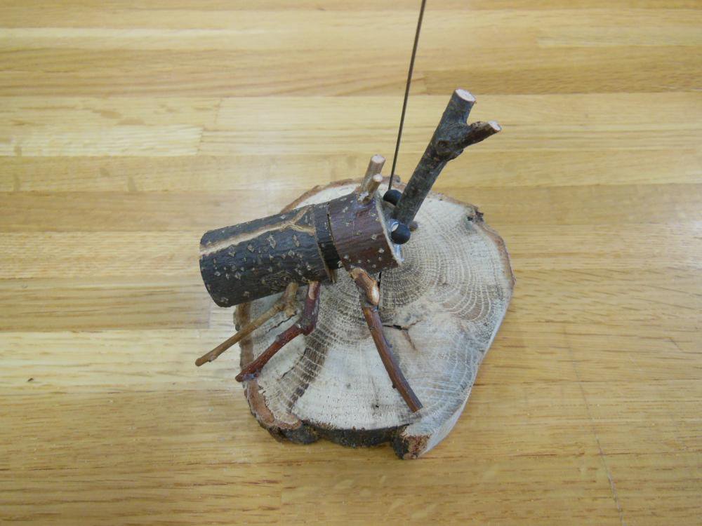 �ڤ⤯�⤯����եȻ��ü��罸�Τ��Τ餻�ۡ�����