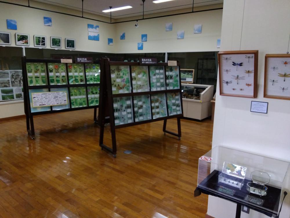 ���褤������������