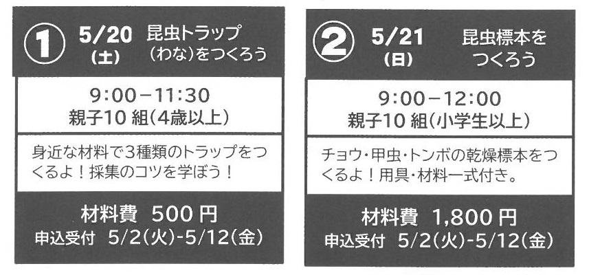 �Ť�ʪ�����⡡���Σ�������