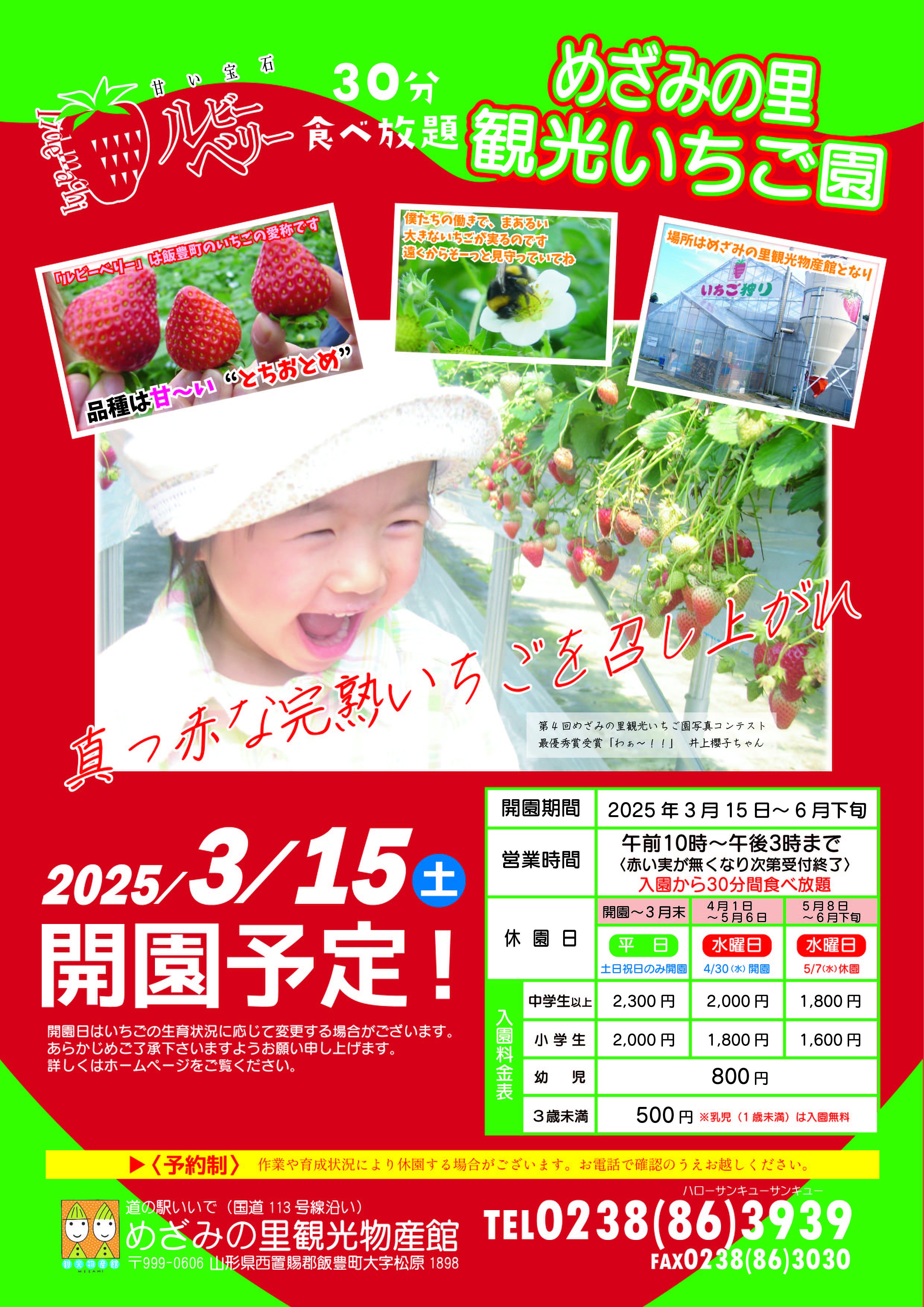 2025ǯᤶߤΤѸࡡ֤⡧