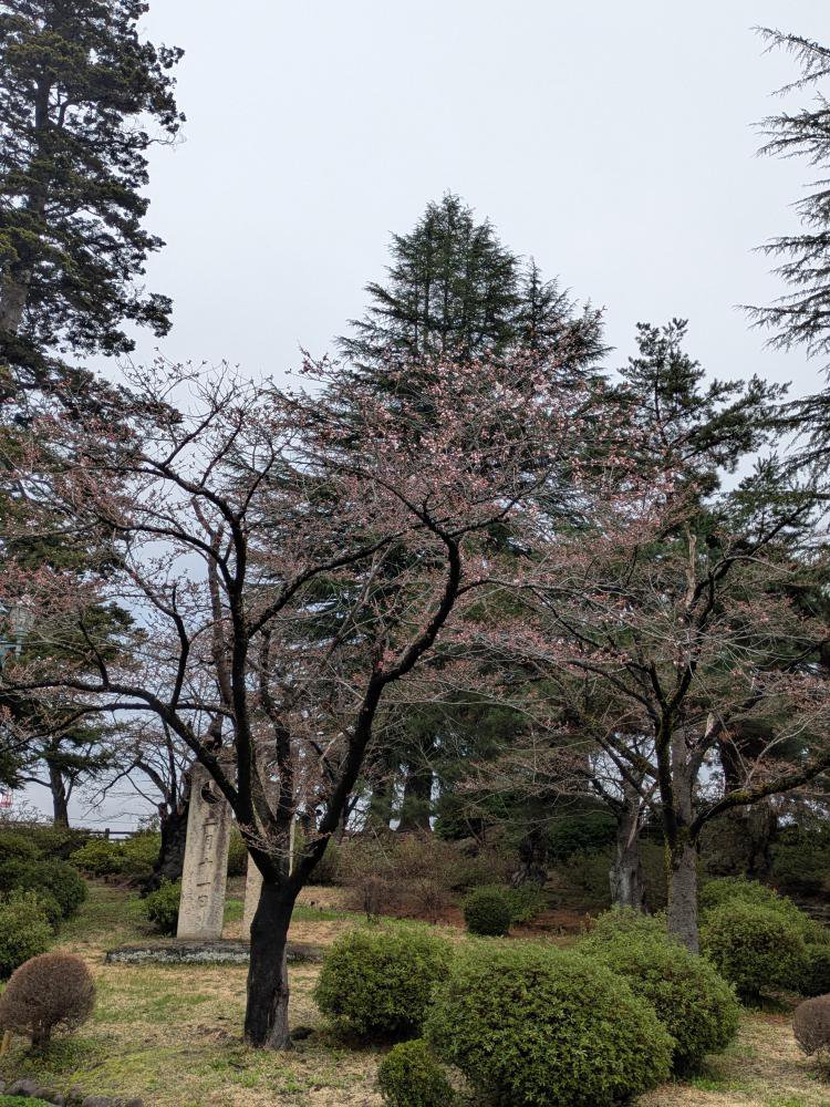 ����̨����ʾ�����ҡ˺�����4��5�������֤��ޤ�����������