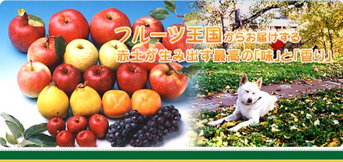 �廳�Ѹ��ե롼�ı�(���������꡼����)������