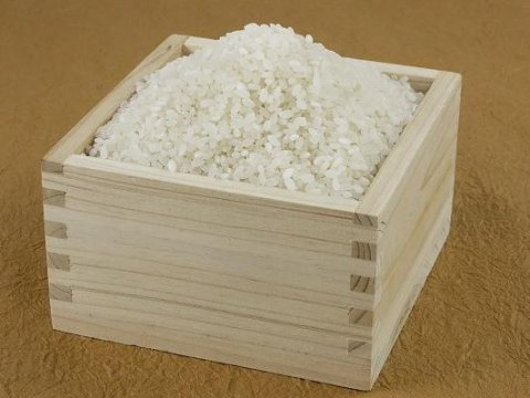 【美味しいお米の季節です♪】：画像