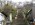 南陽市烏帽子山公園桜情報　東側の東正寺参道入り口のシダレ桜がまもなく開花か：画像