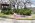 烏帽子山公園の桜は？　　記念館の庭のアーモンドの花が見事にさいています。：画像