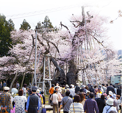 祭